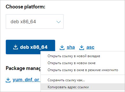 Скачиваем ссылку на DEB пакет для Elasticsearch