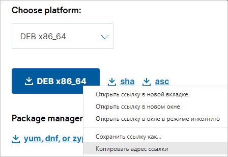 Скачиваем ссылку на DEB пакет для Kibana