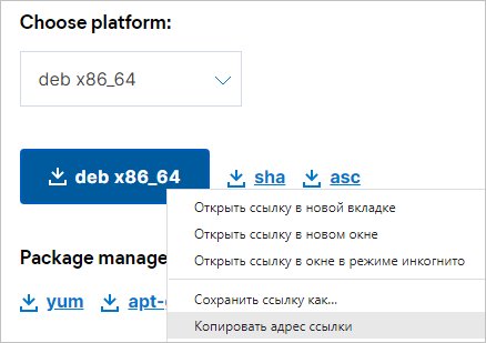Скачиваем ссылку на DEB пакет для Filebeat