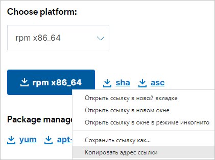 Скачиваем ссылку на RPM пакет для Filebeat