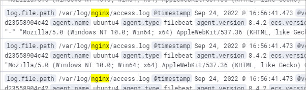 Логи с nginx