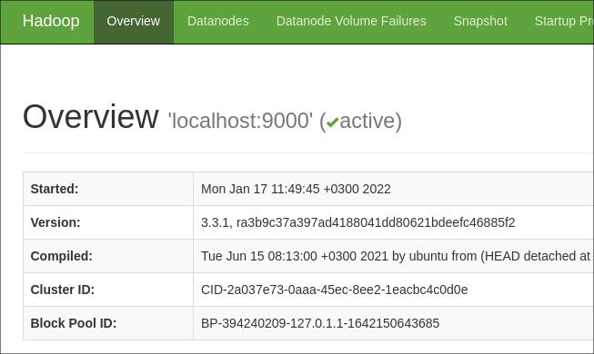 Стартовая веб-страница управления Hadoop